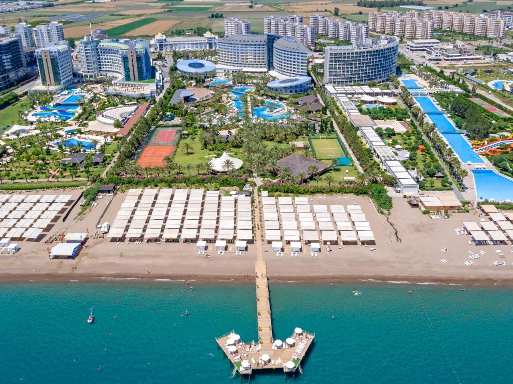 رویال وینگز