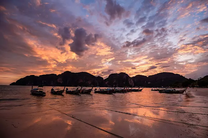 فی فی بای ویو رزورت