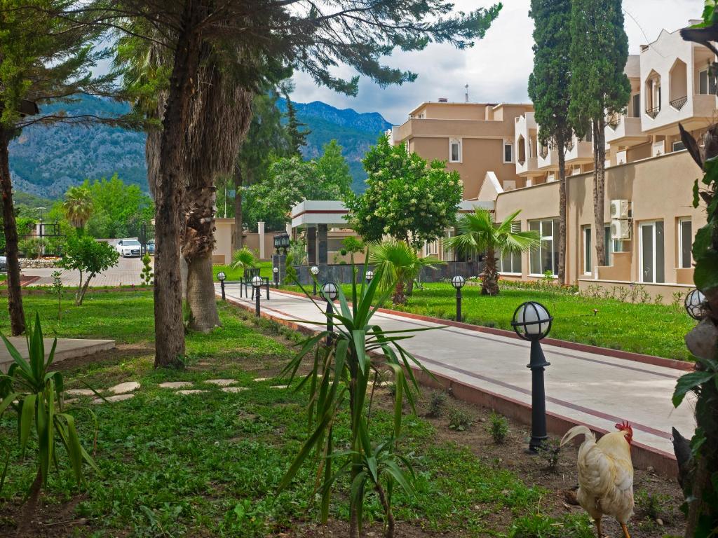 الکسیوس بیچ